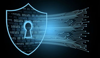 孟晚舟事件后華為運(yùn)營(yíng)正常，軟件與信息服務(wù)業(yè)務(wù)穩(wěn)健發(fā)展